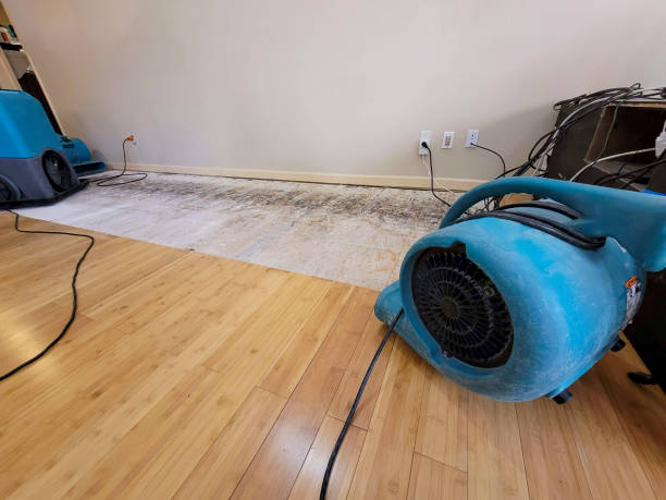 Professional Structural Drying technician working in Marengo, IA